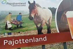 foto pajottenland3