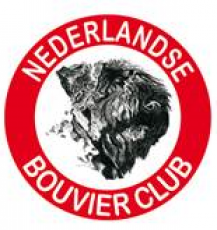 nederlandse bouvier club